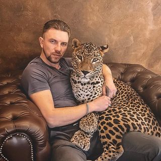 Ютюб канал: leopard Caesar @aleks_volkov_leopard_jaguar в Инстаграм