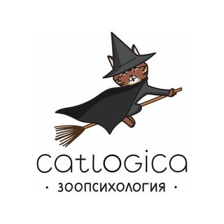 ЗООПСИХОЛОГ всея КОТОВ @catlogica в Инстаграм