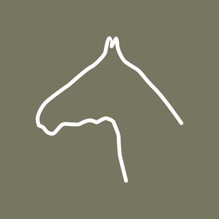 Конный клуб Few Horses @fewhorses в Инстаграм