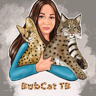 BobcatTv @katyabobcat в Инстаграм