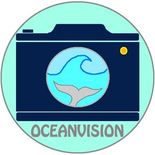 🌏 OceanVision 🌊 @oceanvision в Инстаграм