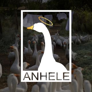 _anhele_