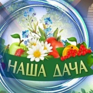 _nasha_dacha_