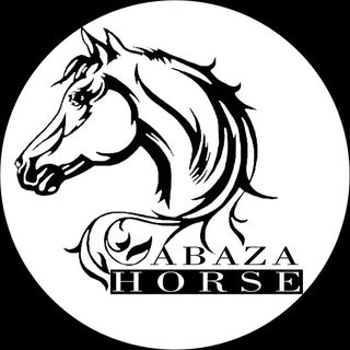 abaza_horse