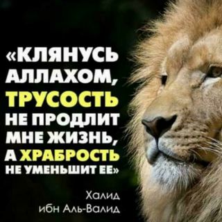 abubakar_denisultanov