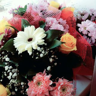 aisha_ingushka_