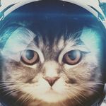 alena_ponchik123456