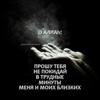ali_._muradov