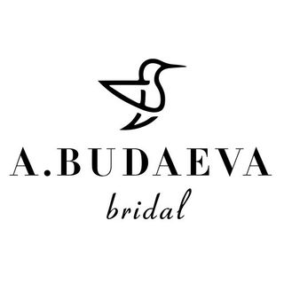 alina_budayeva_dressbook