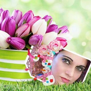 amara.aboud