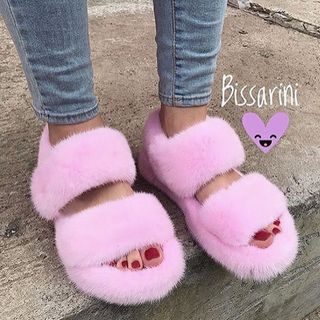 bissarini