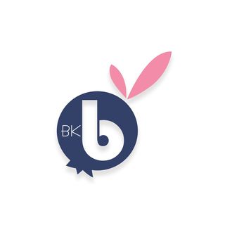 blueberrykids.store