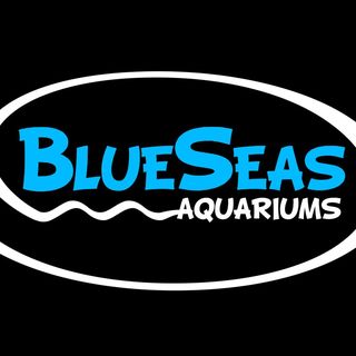 blueseasaquariums