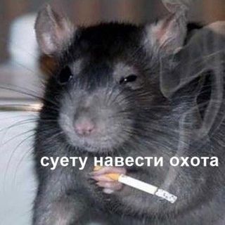 bolkonskaia.a