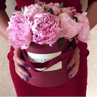boxnroses