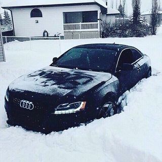 cat_ruslan