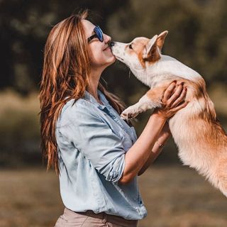 charlotte_corgishian