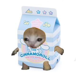 cinnaa_milk