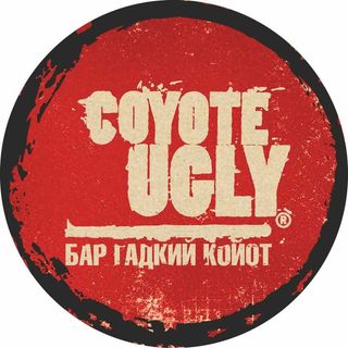 coyoteuglyspb