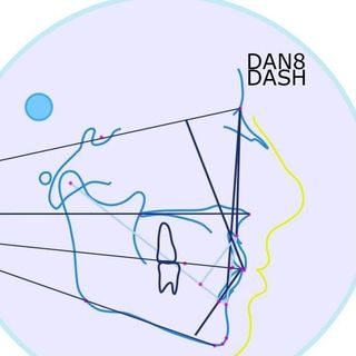 dan8dash