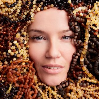 dariamousse