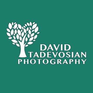 david_tadevosyan