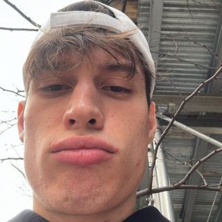 dimch_gum