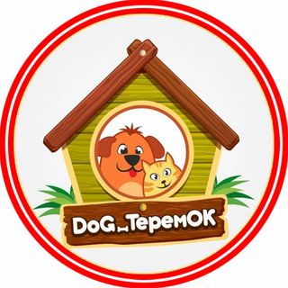 dog_teremok