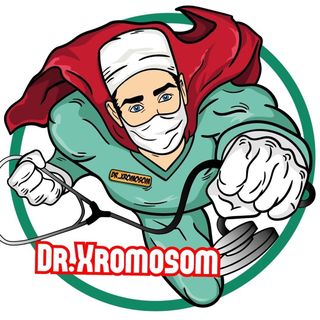 dr_xromosom