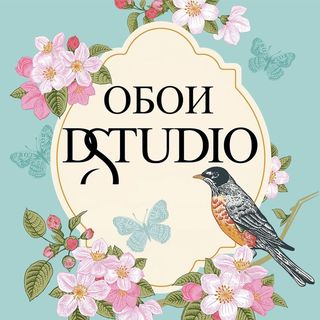 dstudioart_