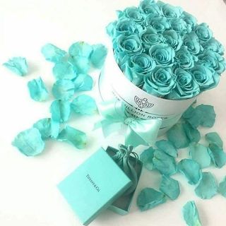 elina_qwerty