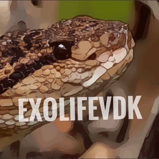 exolifevdk