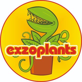 exzoplants_kavkaz