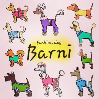 Одежда для собак @fashion_dog_barni в Инстаграм