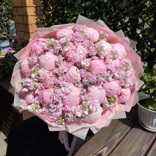 fuchsia_flor