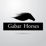 gabar_horses