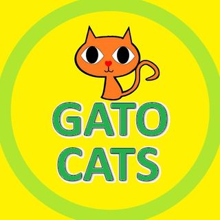 gato_cats