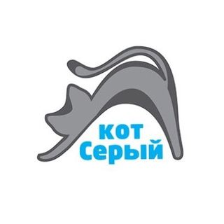 grey_cat_05