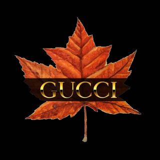 gucci___25