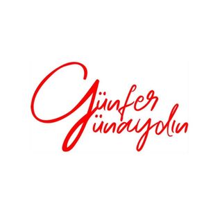 gunfergunaydinagency