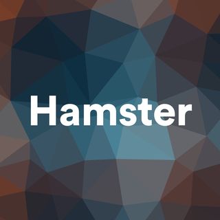 Hamster @hamster в Инстаграм