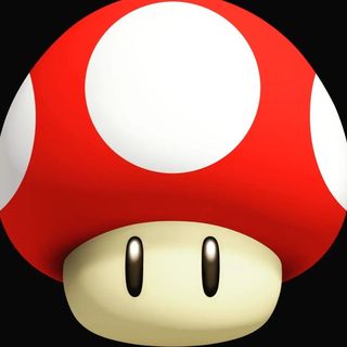 harami.chan.photostagram