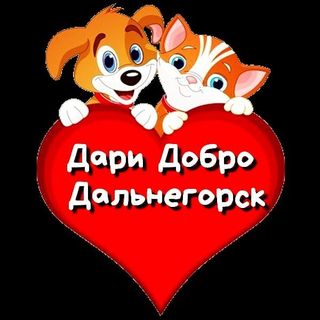help_dog_cat_dalas