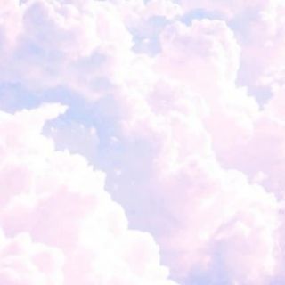 hereistheavocadojuli