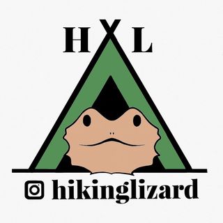 hikinglizard