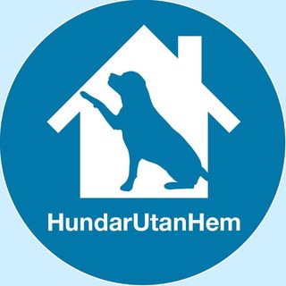 hundarutanhem