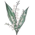 ilona_bisultanova_1998