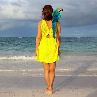 ingrid_travel