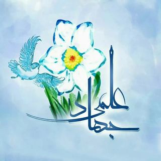 jahadelmi_313