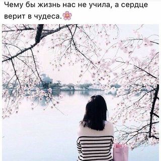 кадырова_назира @kadyrova_nazira в Инстаграм